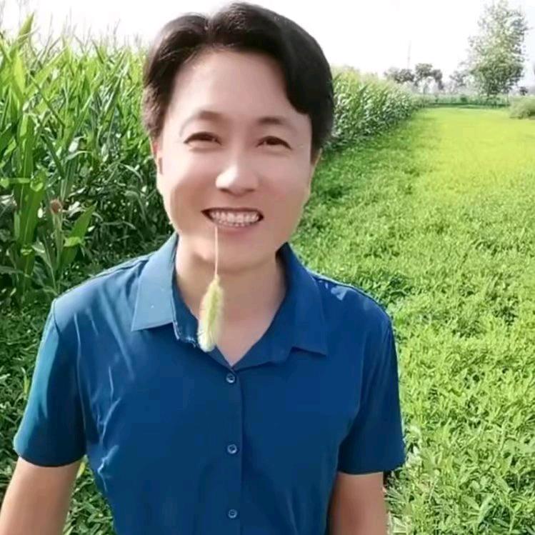 🇨🇳 he wei hua