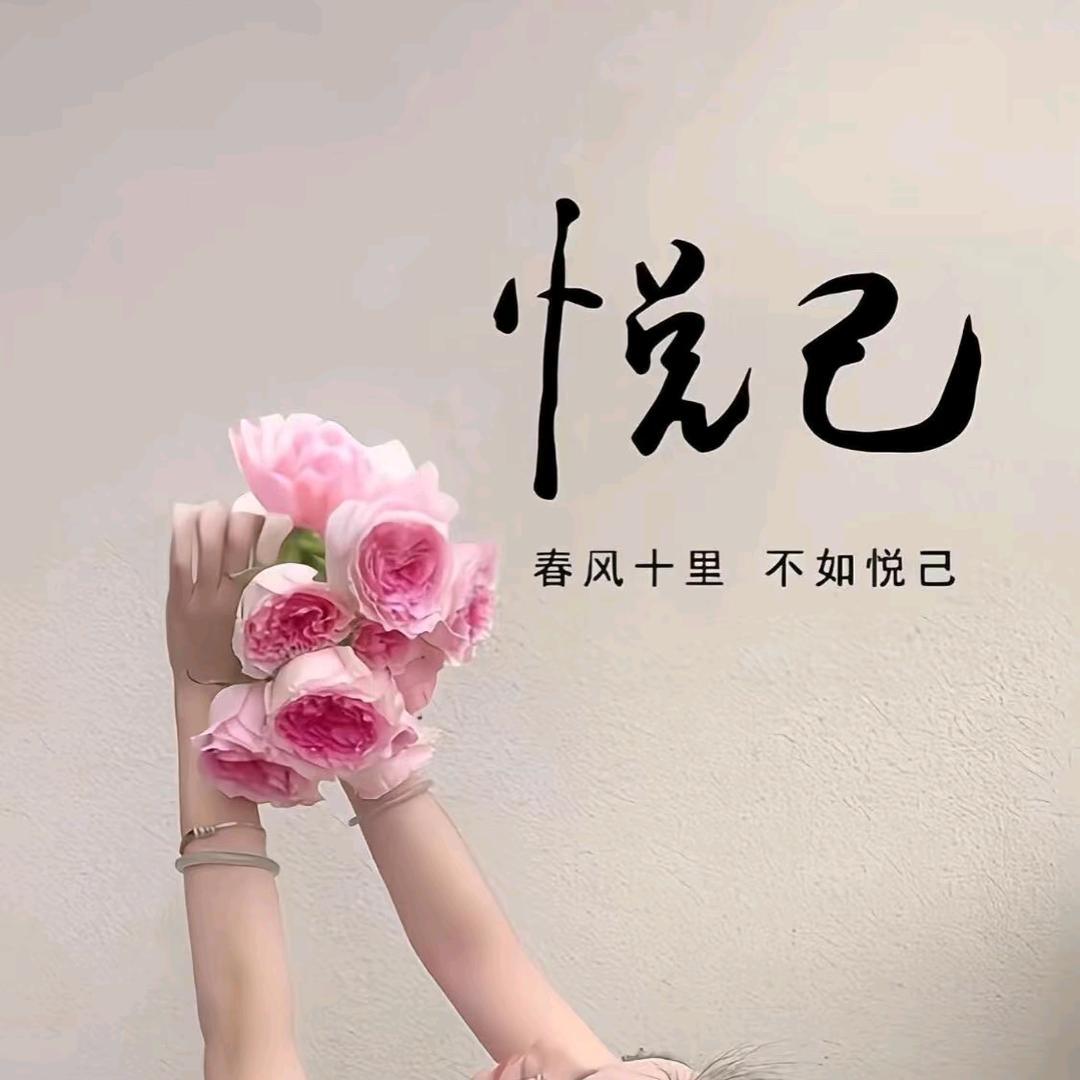 晴空万李（2025版）