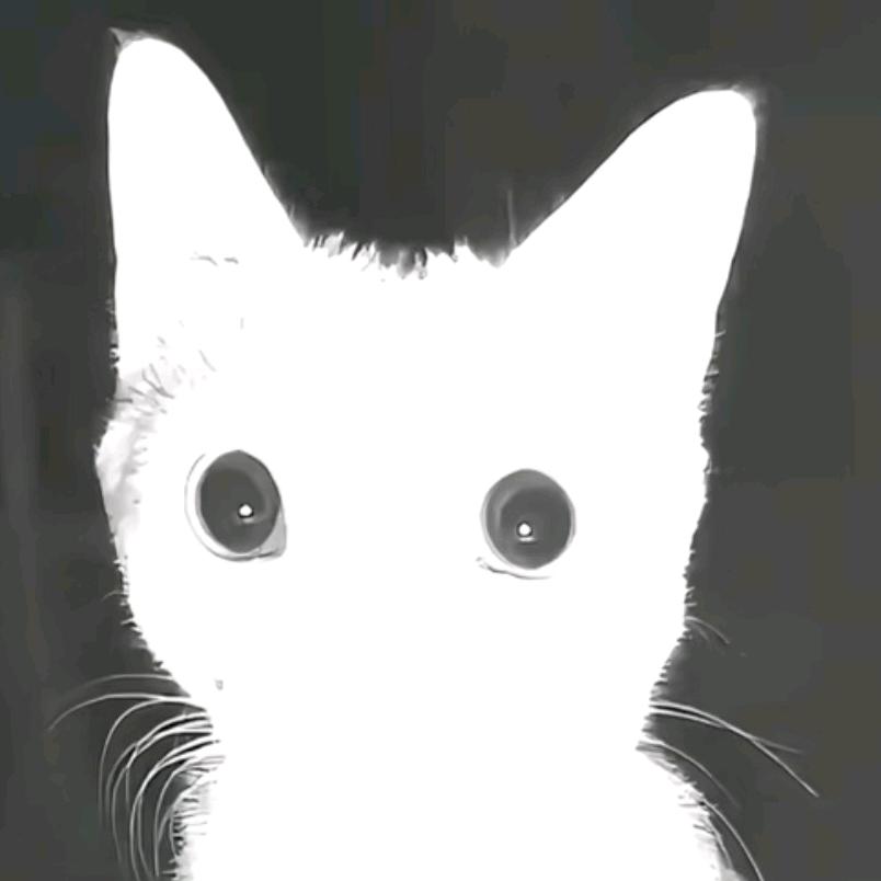 就是卷