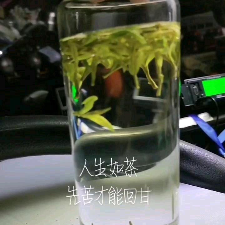 缘分让我和你在相遇🌻🌻