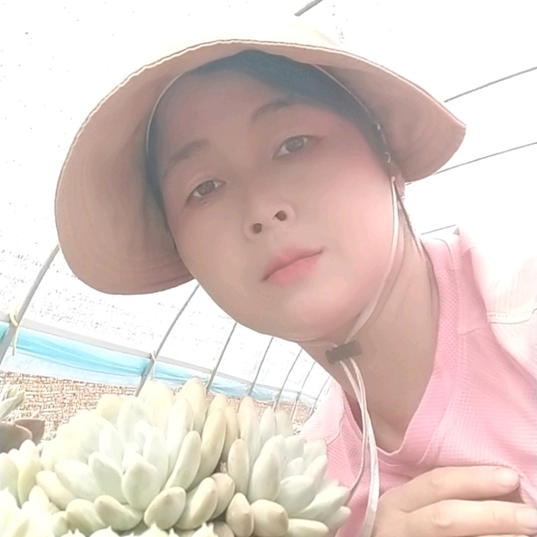 牛羊养殖玩多肉