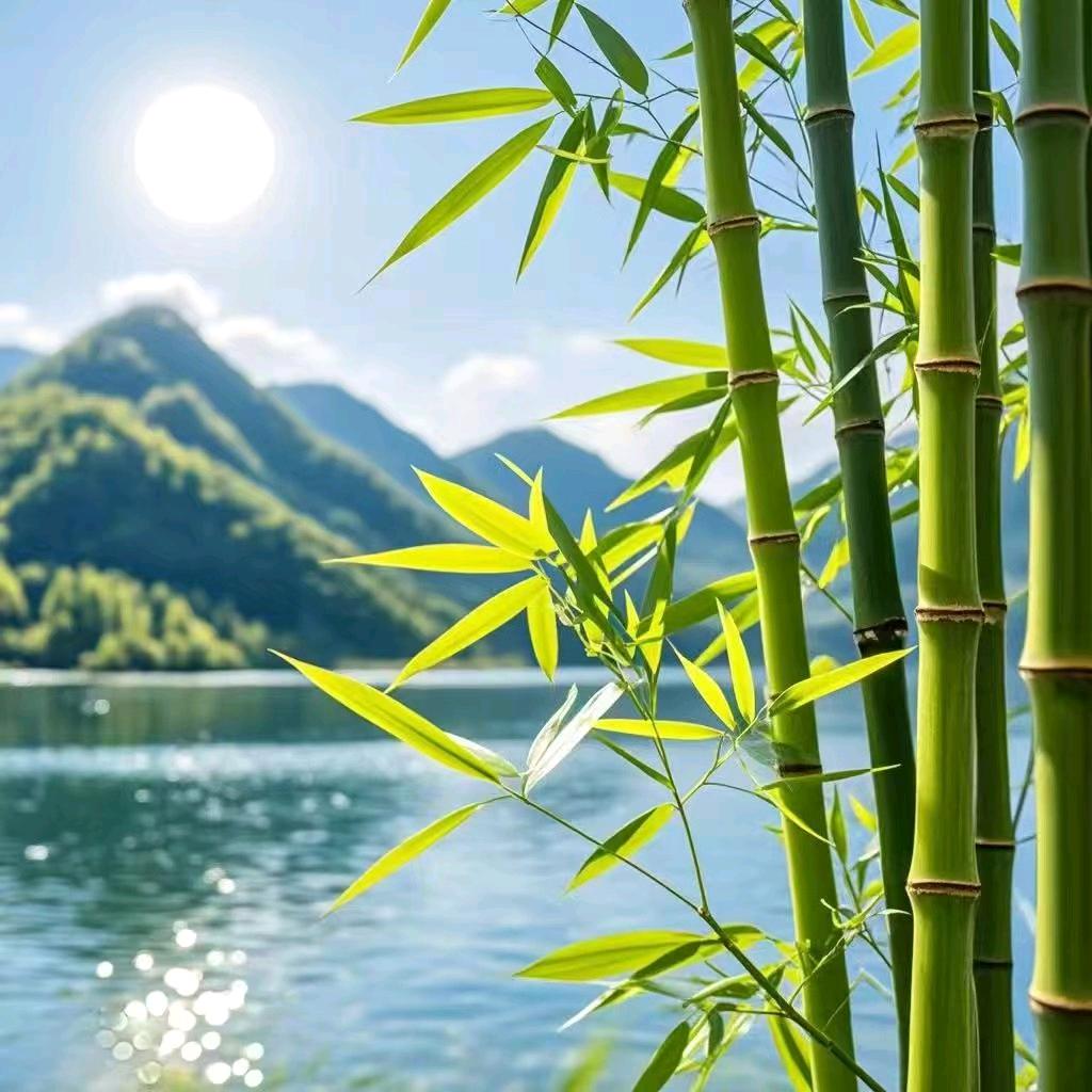 幸运小太阳