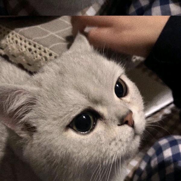 老弟坐穿
