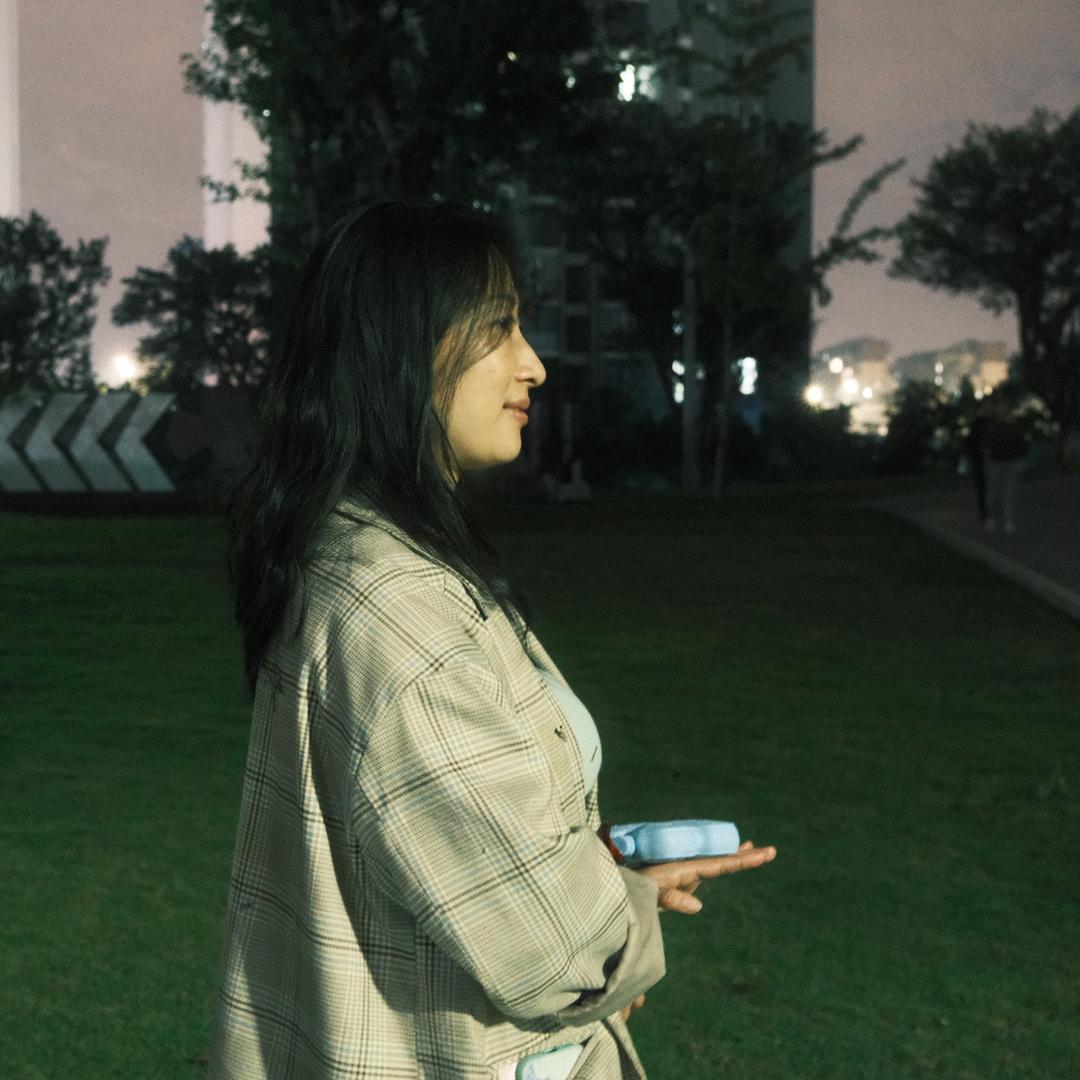 重庆糯米团+贵州糯米饭