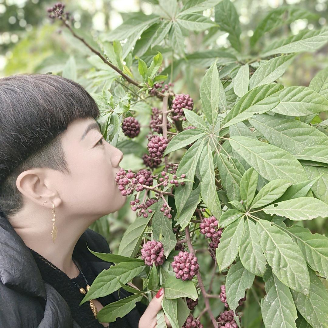 冉小芳