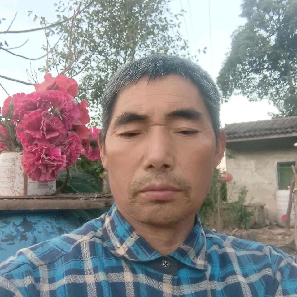 牛哥