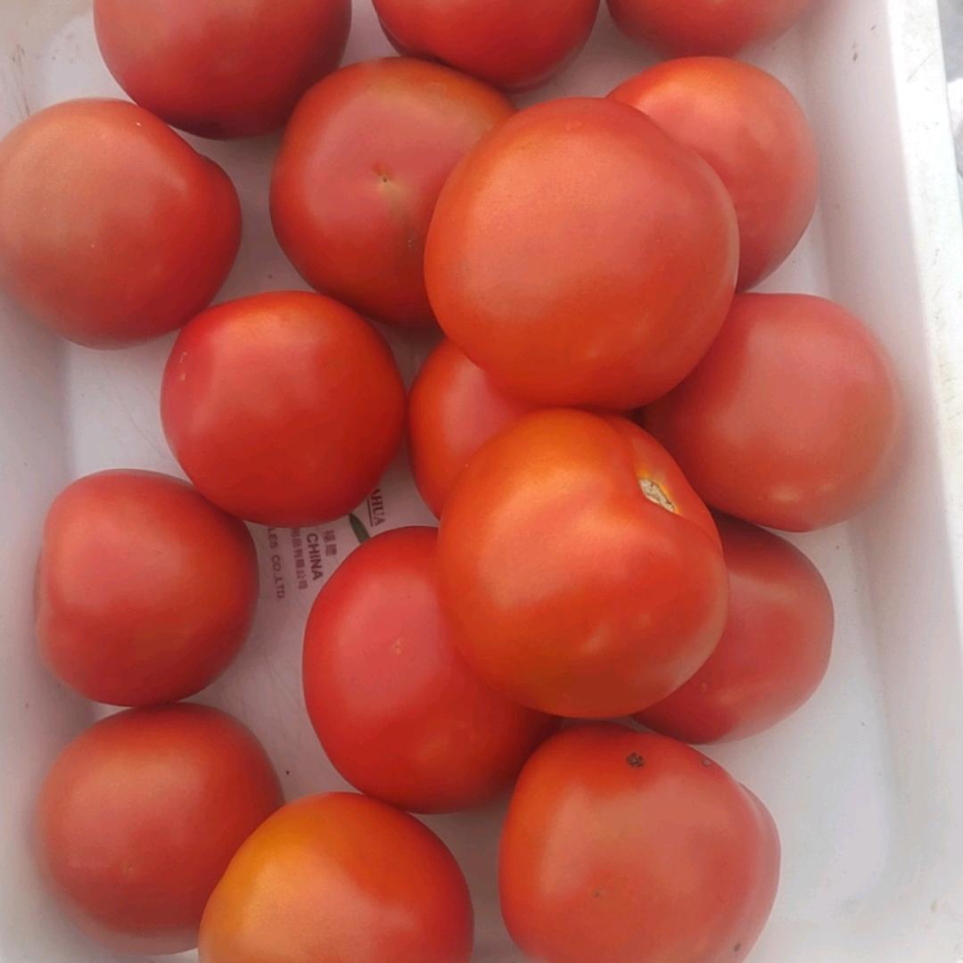 你好，我也好，你不好，我比你更不好