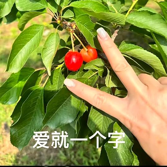 姐就这么拽💅