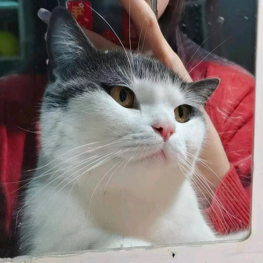 旺仔牛奶糖🔝🎁