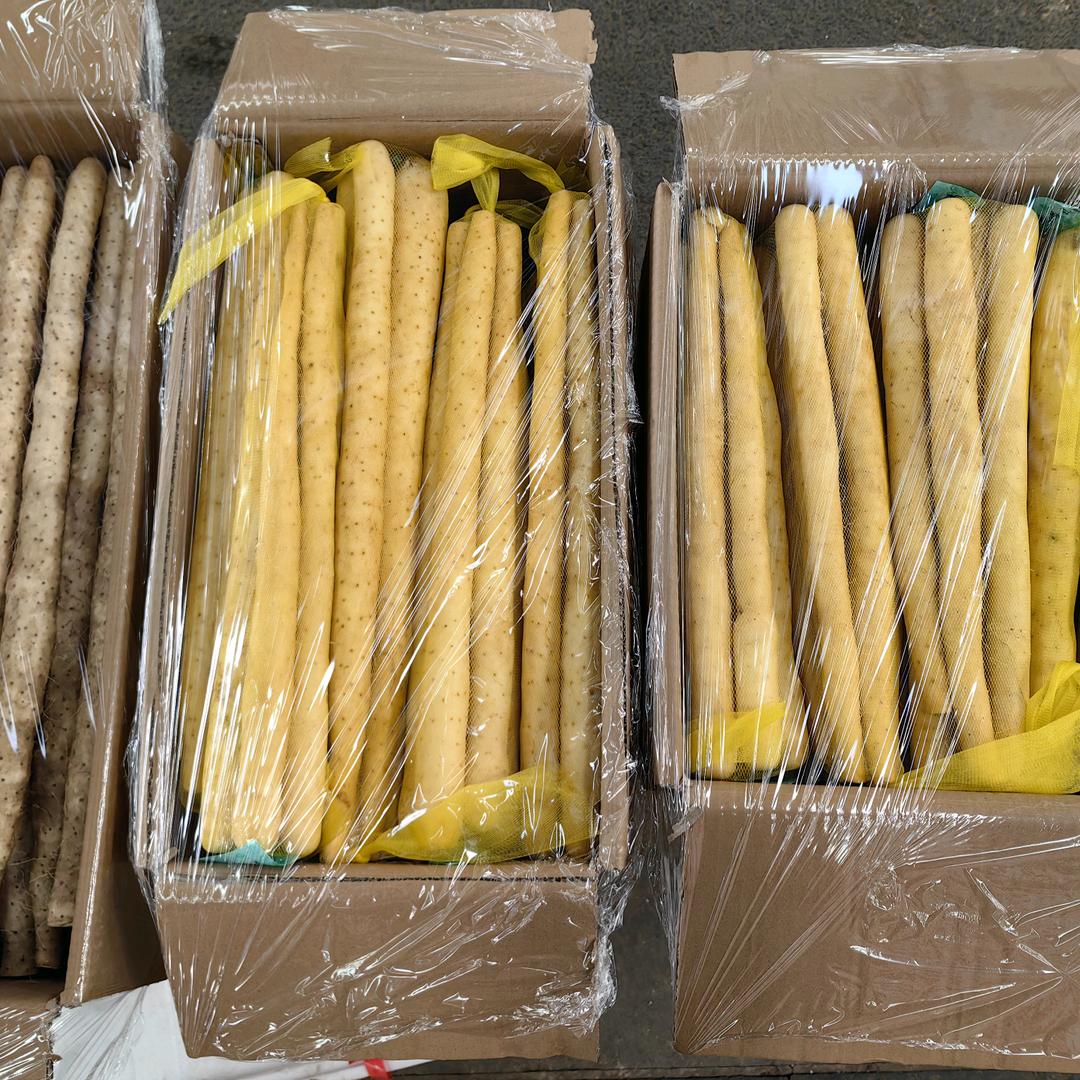 冷暖自知经营各种山药批发