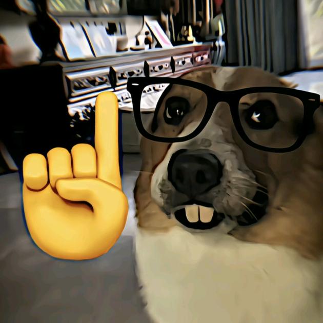 袁十三