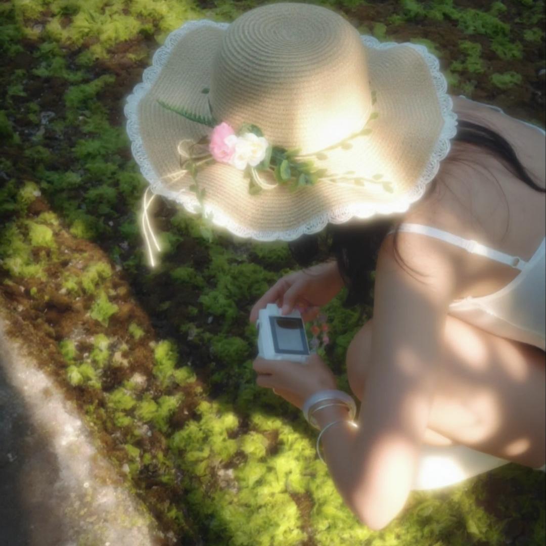 小羊羹羹