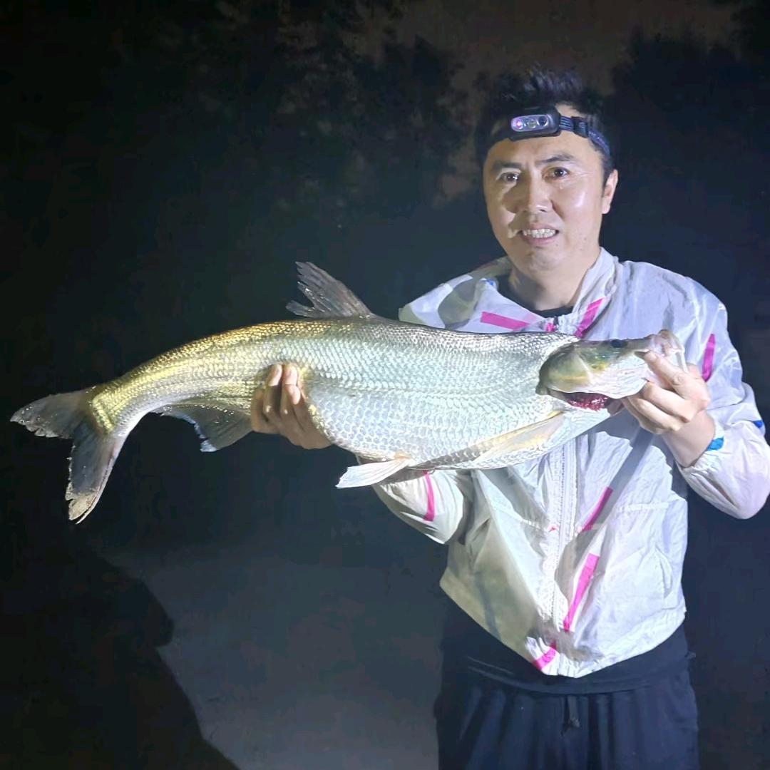 板面爱钓鱼(方大师)