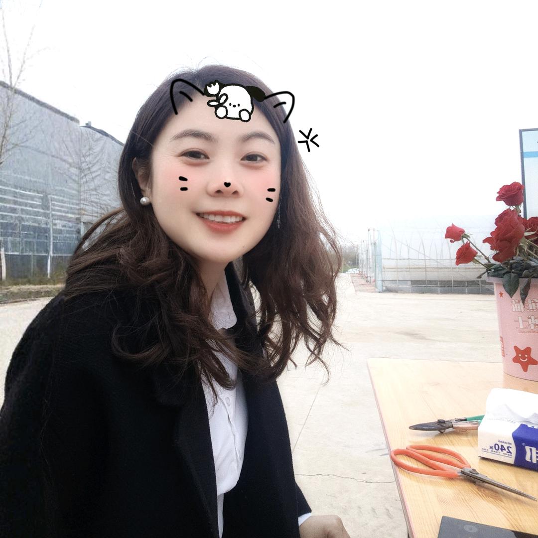 陈 磊