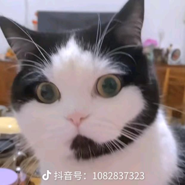 闪
