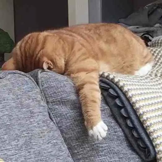 转眼间