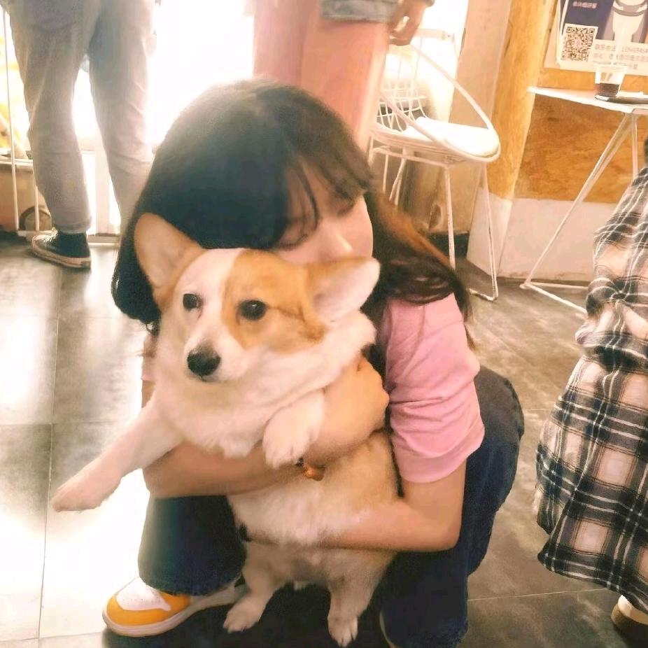 如果说、