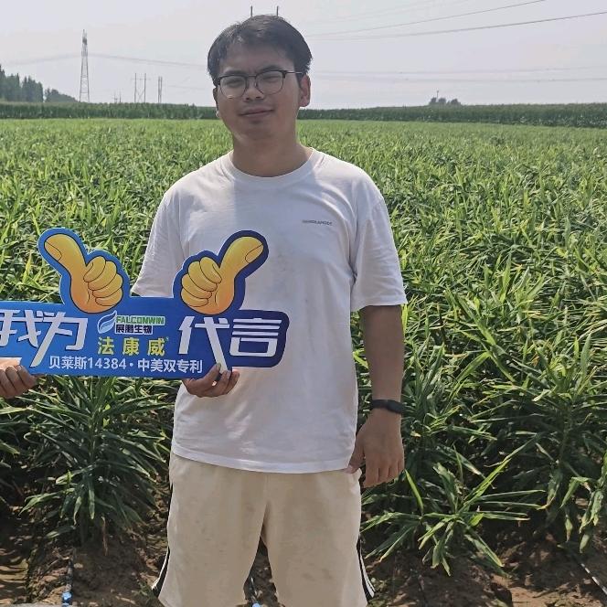 展鹏小刘说大姜