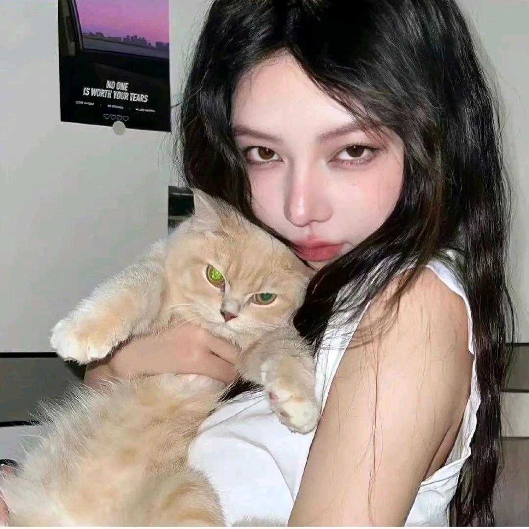 醉酒的猫11111