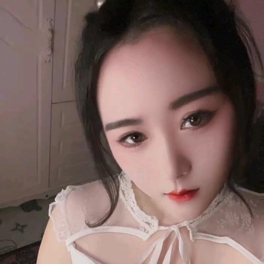 小夜猫