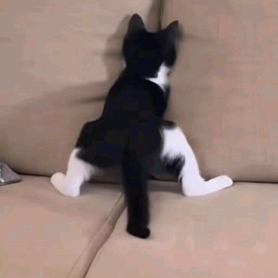 两两