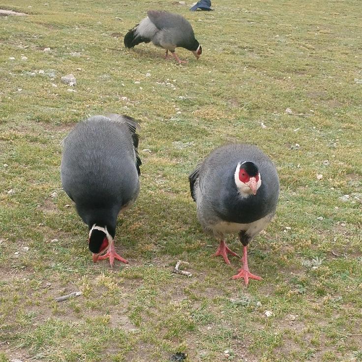 一᭄้ꦿꦿ生🕊有࿐ཁྱེད་།