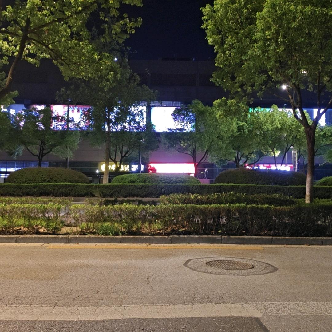 wy（tk小白）