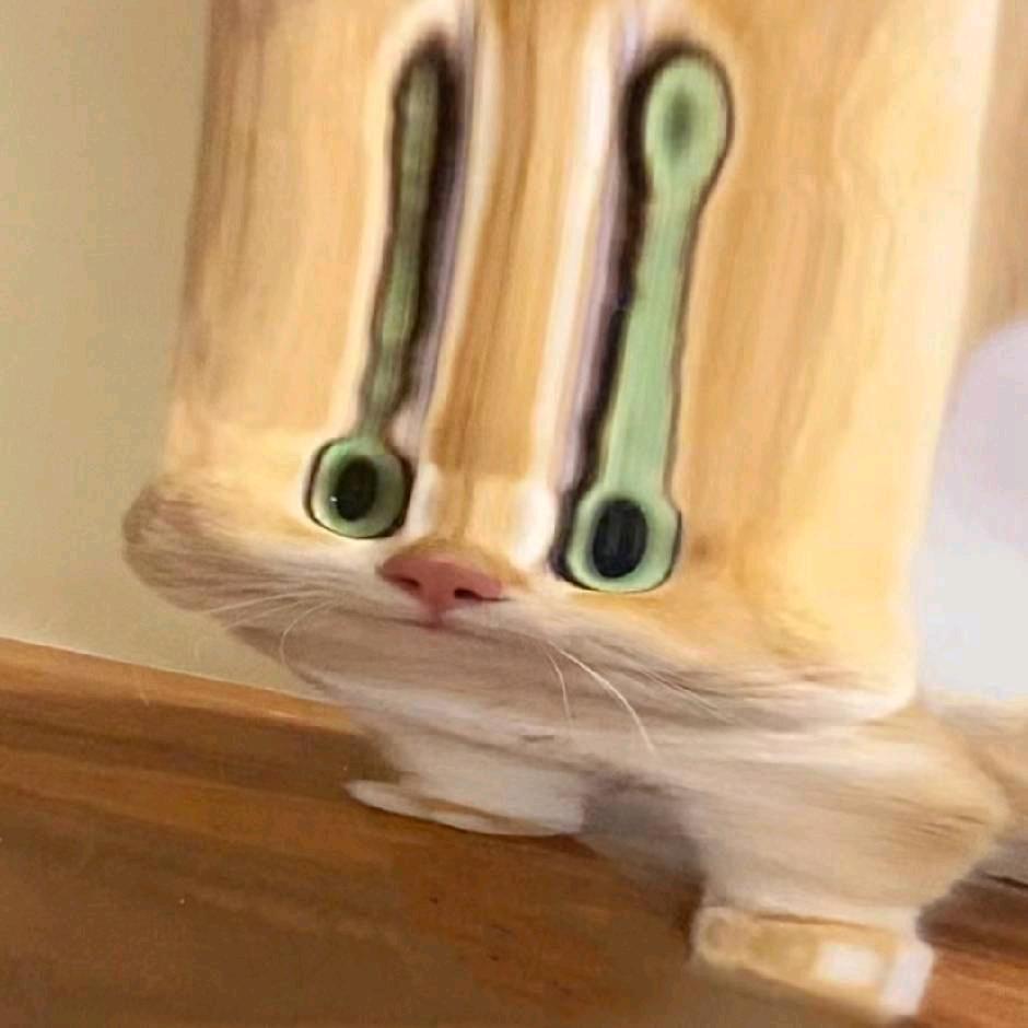 One Cat.