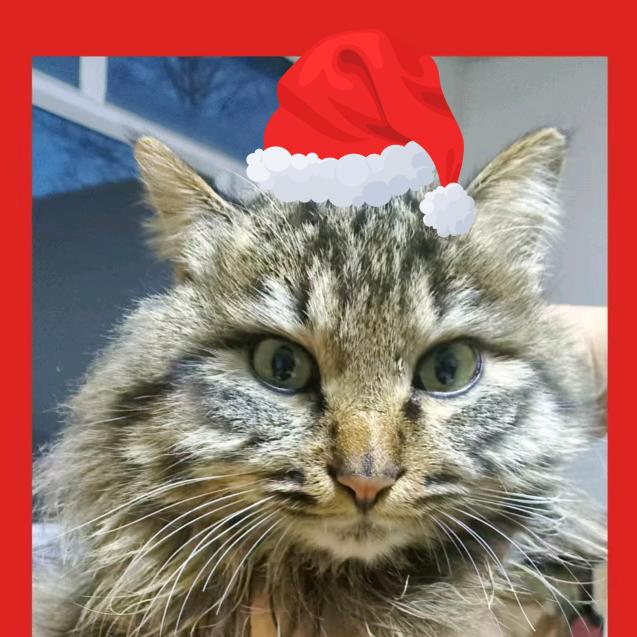 无尽雨·无紧要