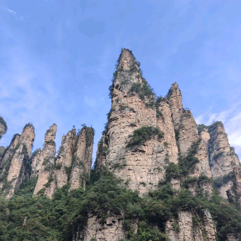 拼搏