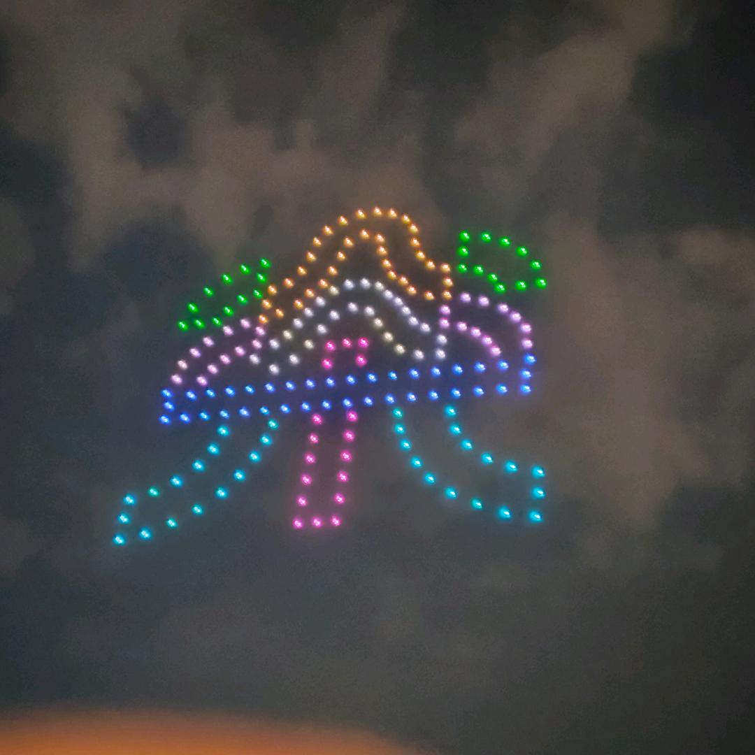 痴情的人