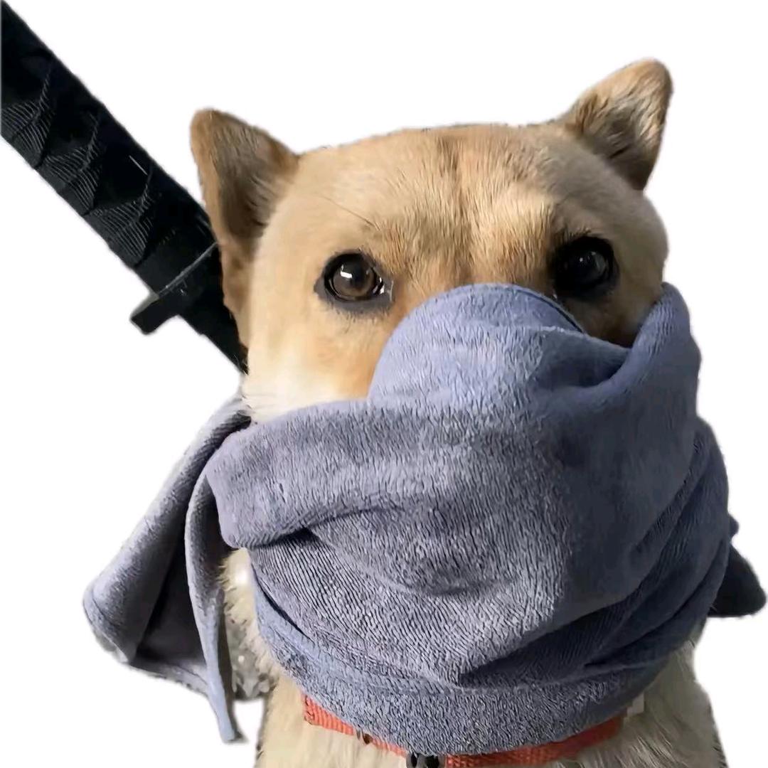 小江超开心˃ 𖥦 ˂