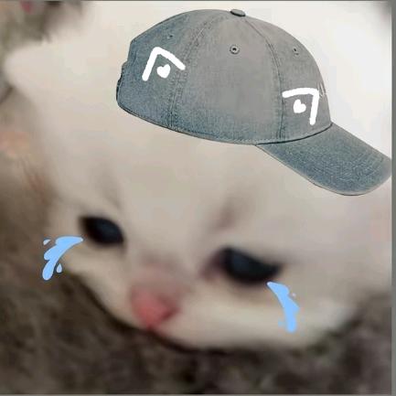 小孤孤