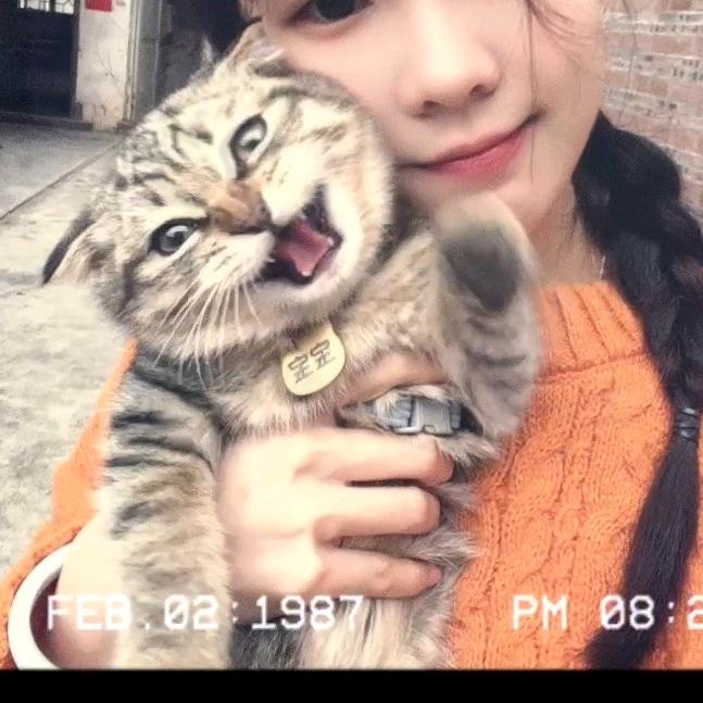 拾壹