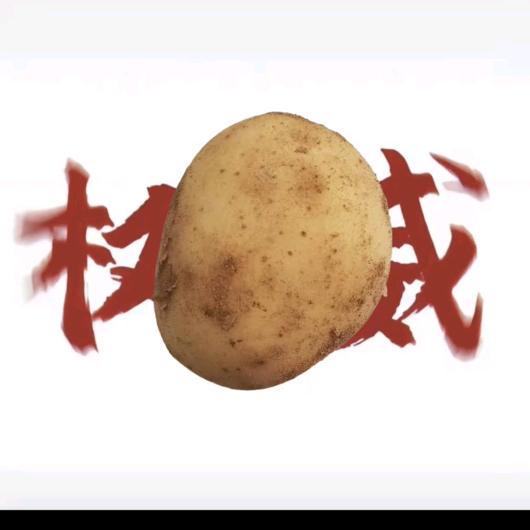 交院学长小涛(赚钱版)