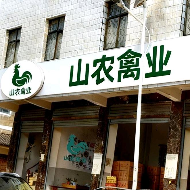 山农禽业•云贵川禽苗批发供应链