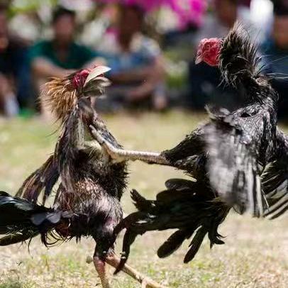 欣姐（80宝妈）