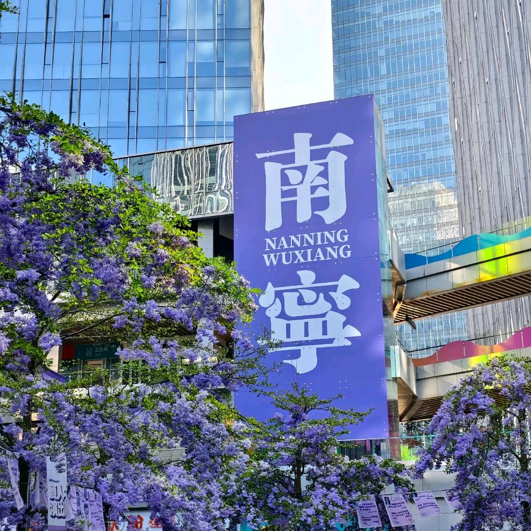 徐伯说房-叶同学