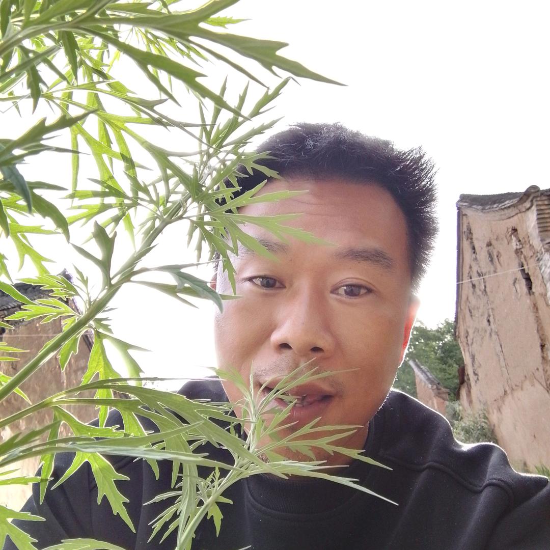 止加一