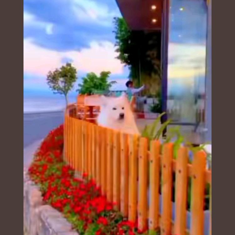 xjh谢金华🇨🇳