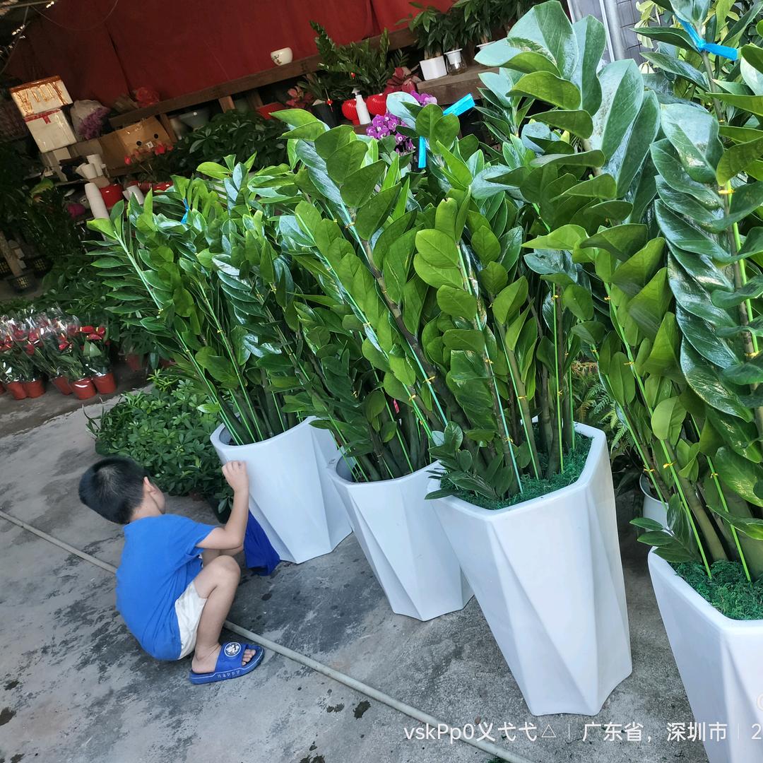 zh︿ang离异带2娃