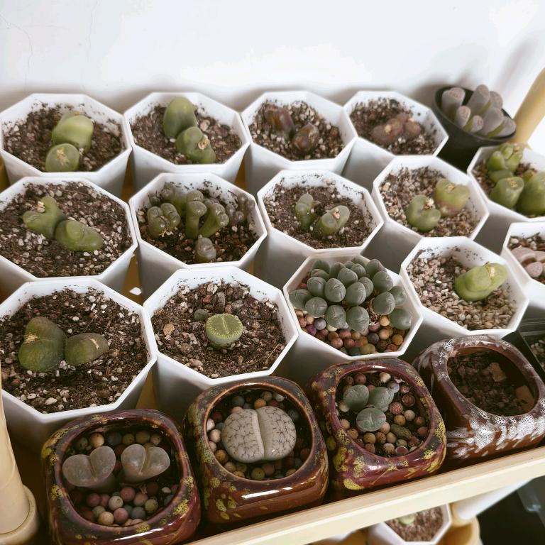 二手房产…宋大姐