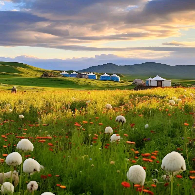 牧之歌特色优品