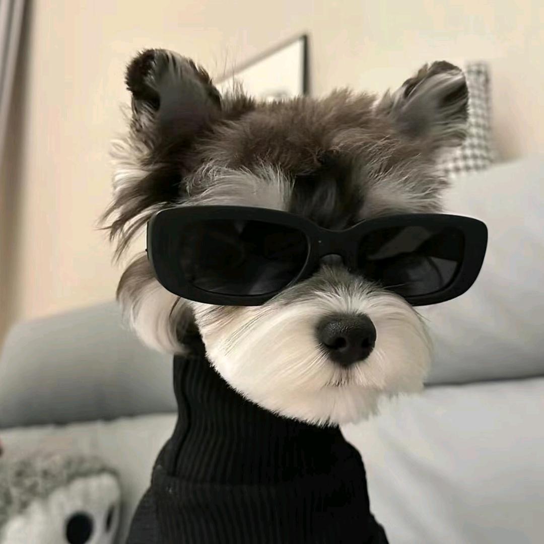 眠
