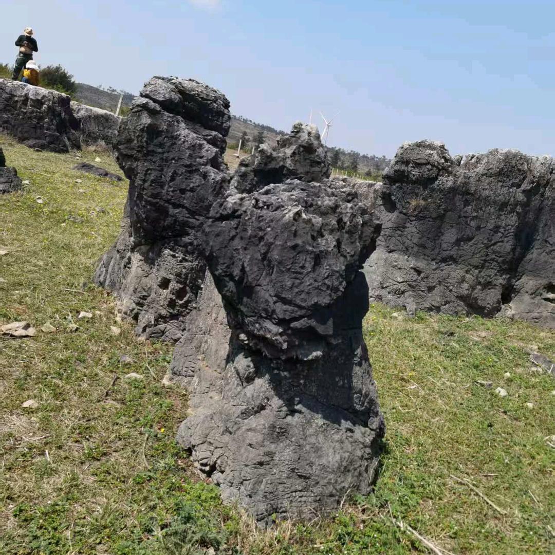 青岛君安苑商贸有限公司