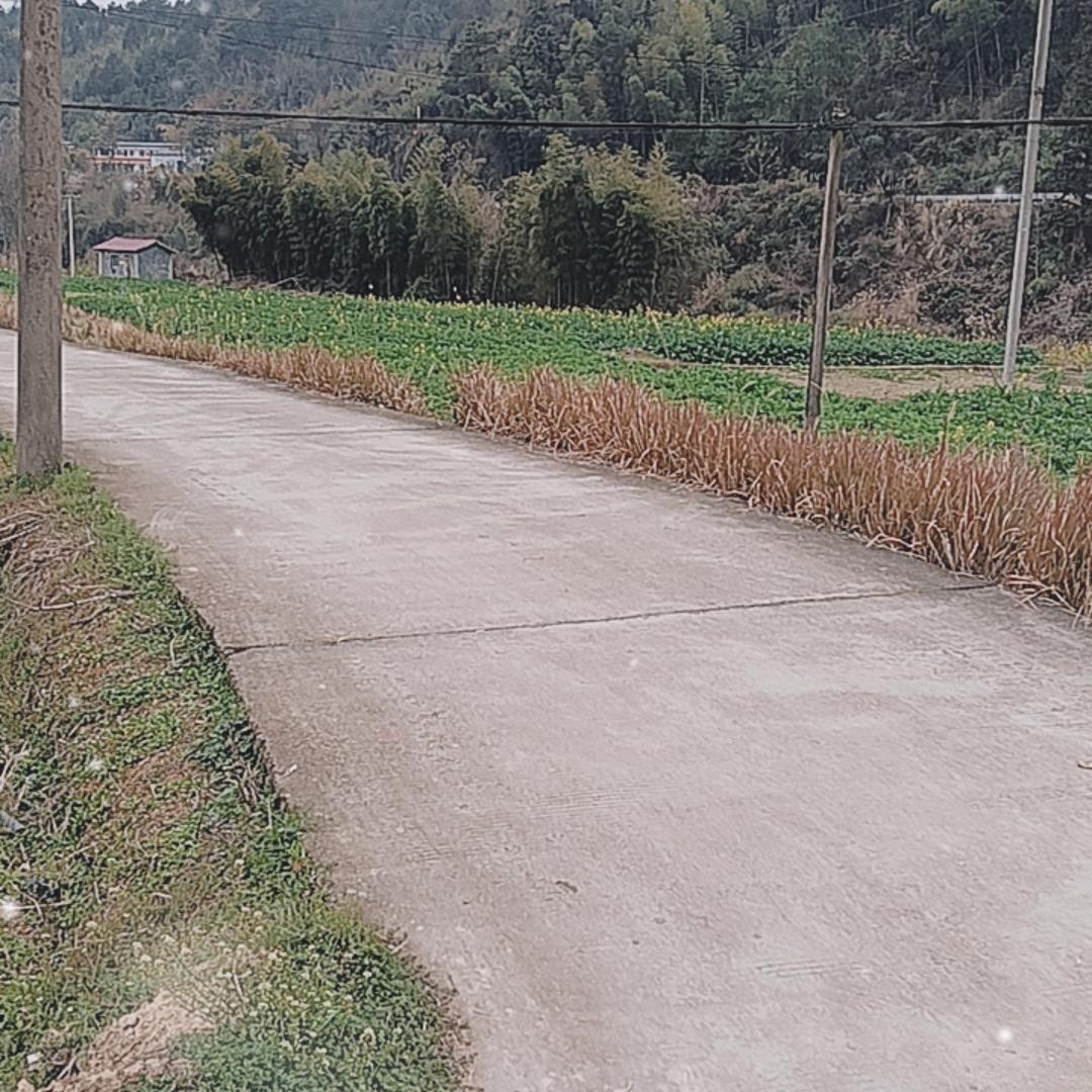 冷面热心宇文景头像