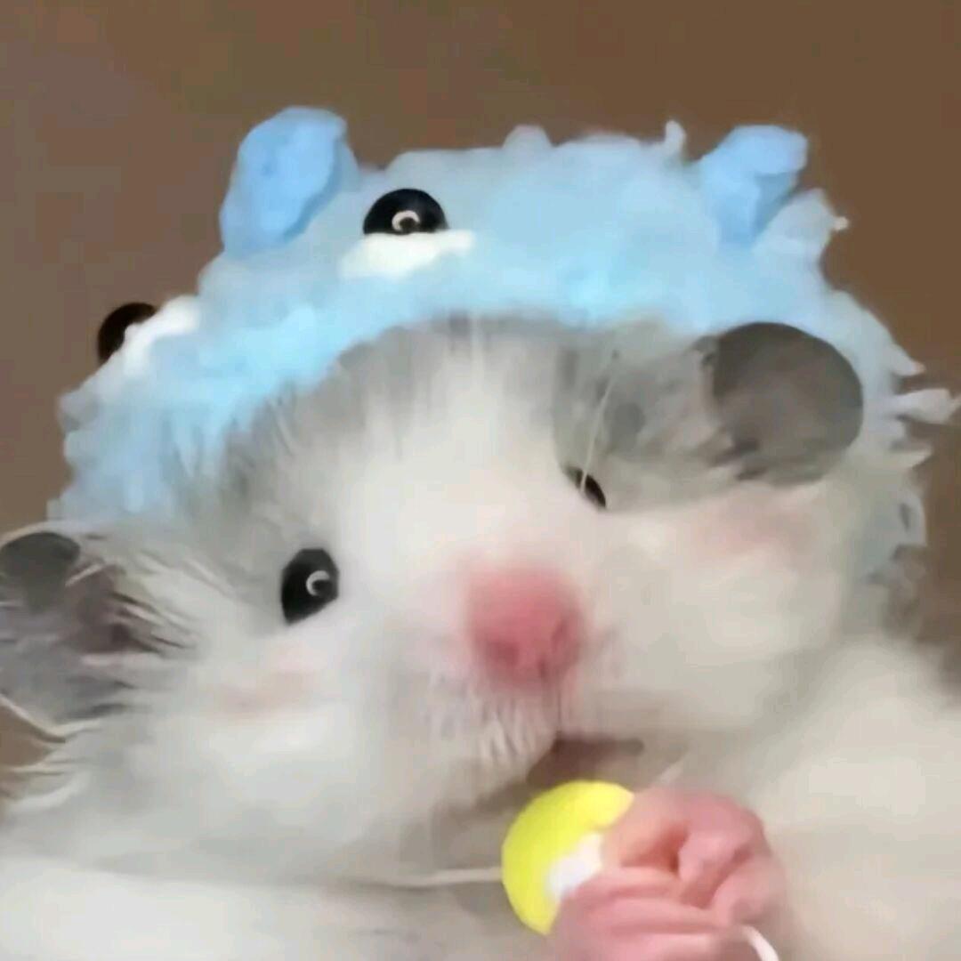 沃似尼夜