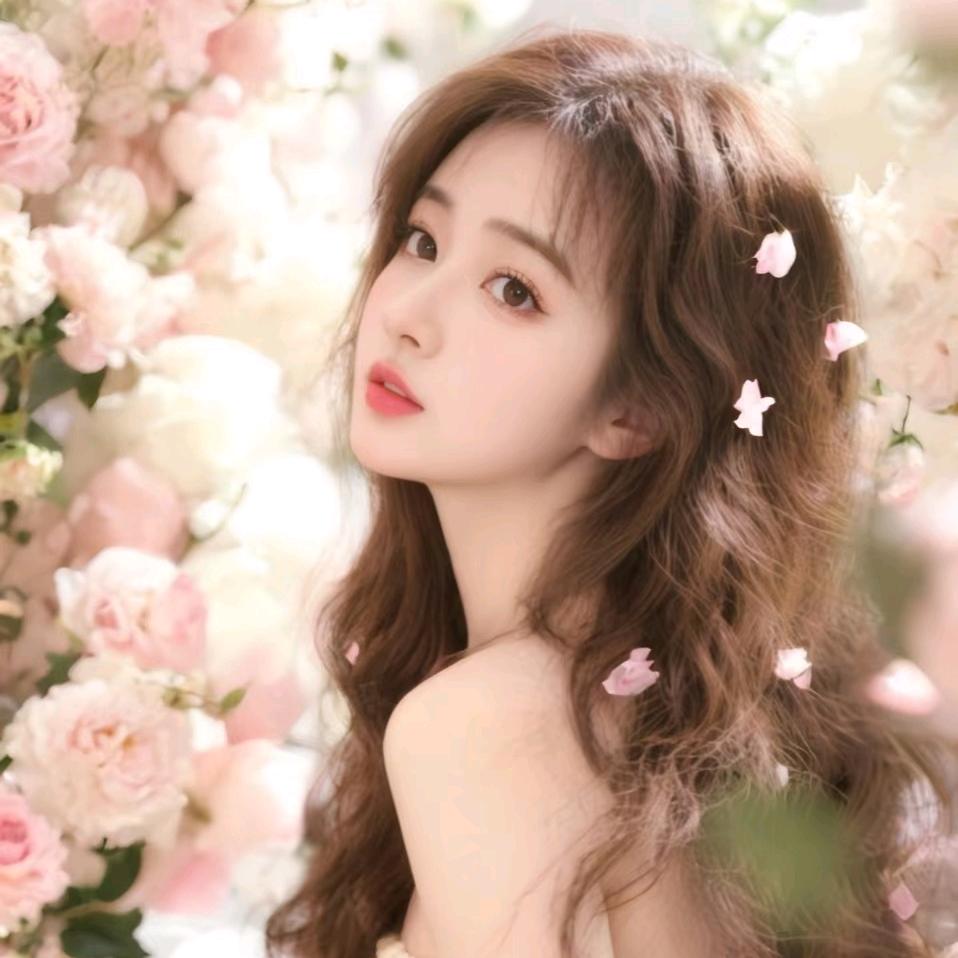 沈念🌸