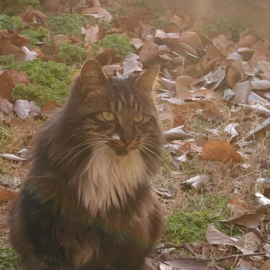 小海学长（淮师大）