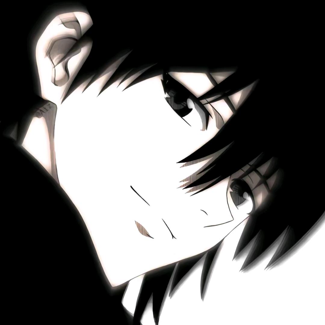 山茶.
